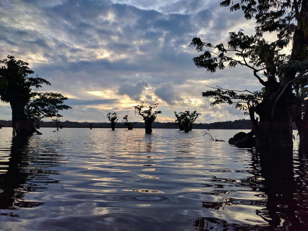 Green Forest Ecolodge Puerto Montufar Bagian luar foto