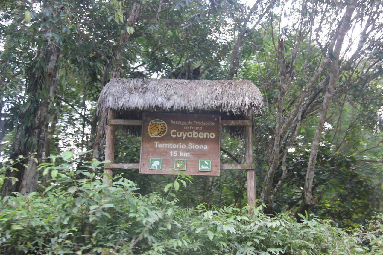 Green Forest Ecolodge Puerto Montufar Bagian luar foto